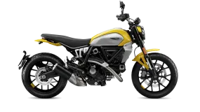 2024 Ducati Scrambler Icon - Gen 2 - Yellow