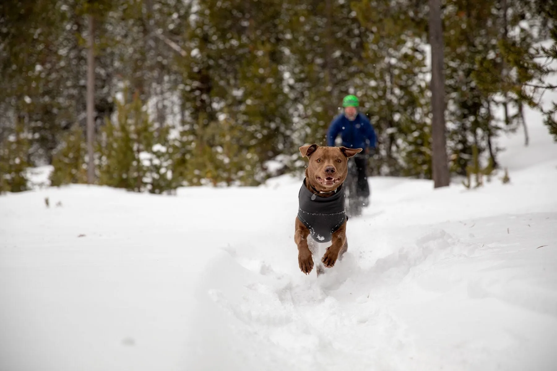 Climate Changer™ Dog Fleece Pullover