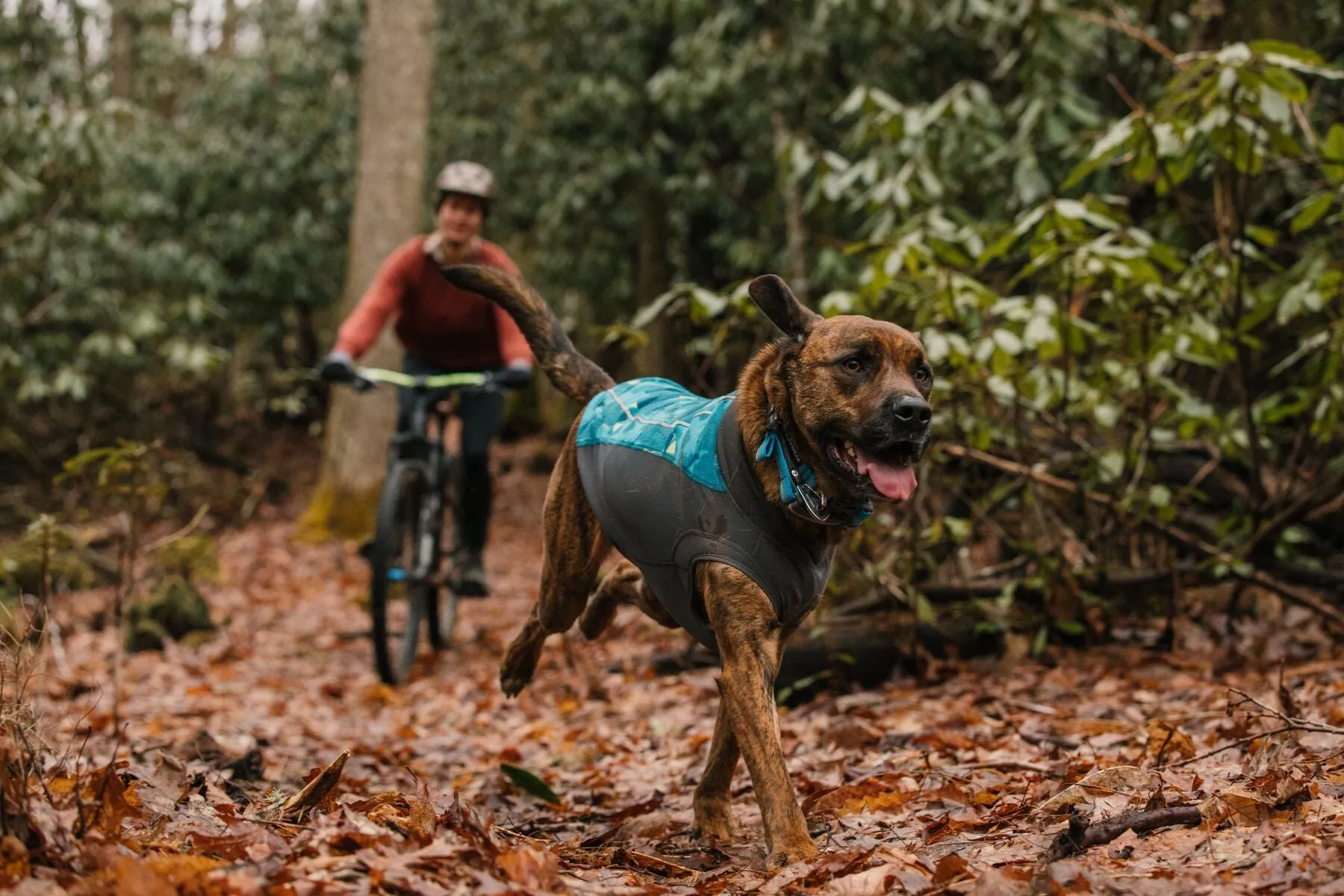 Climate Changer™ Dog Fleece Pullover