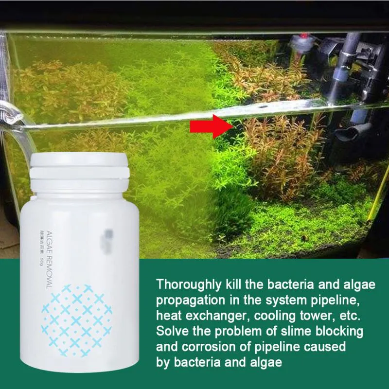 Fish Tank Algae Remover