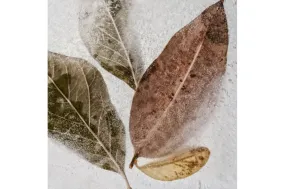 Frozen Leaves