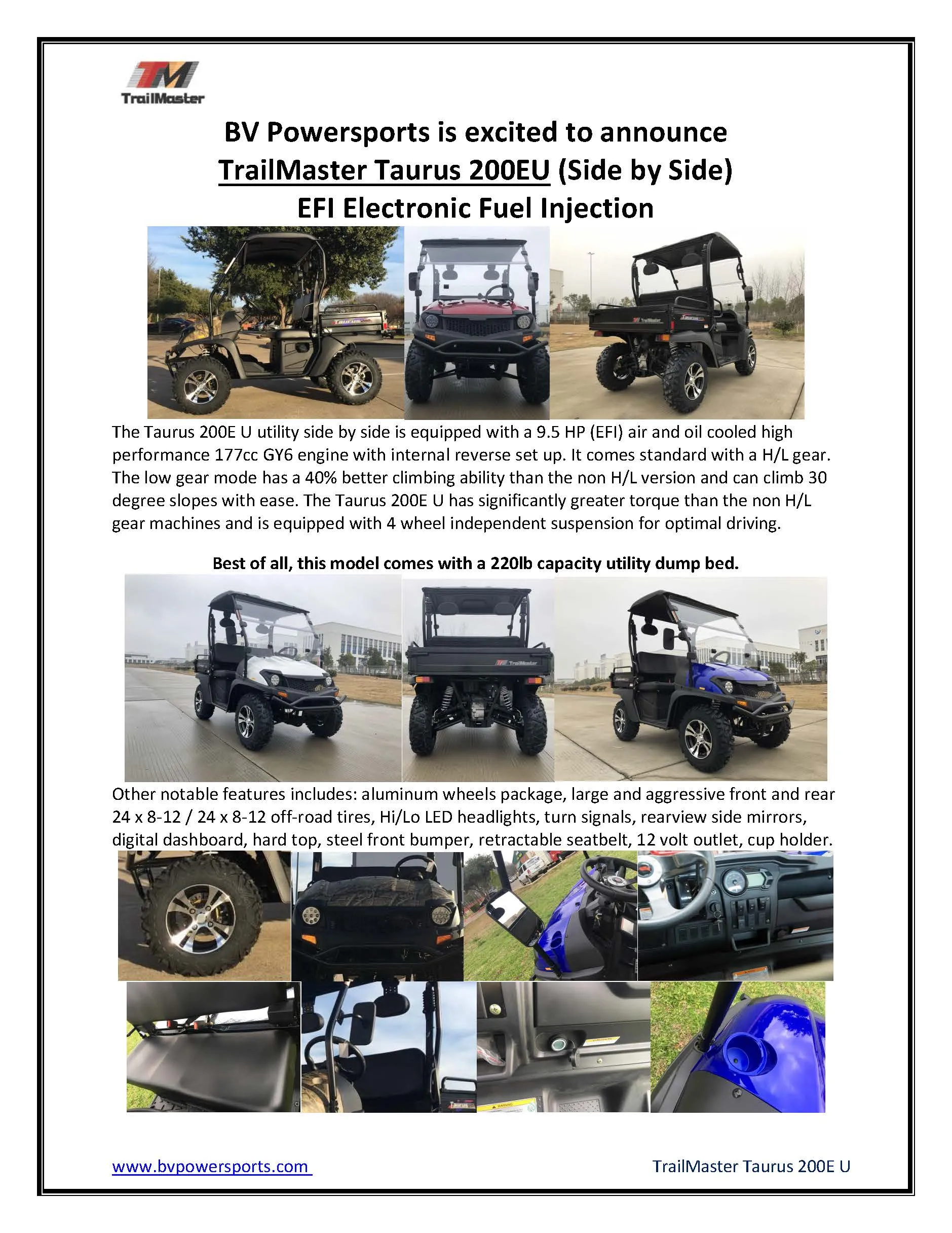 TrailMaster Taurus 200E-U EFI UTV / Golf Cart / side-by-side Fuel Injected, Light Weight Utility