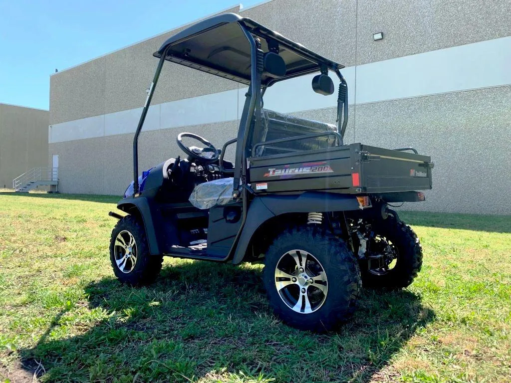 TrailMaster Taurus 200U UTV / Golf Cart / side-by-side Utility Hybrid with High/Low Gear