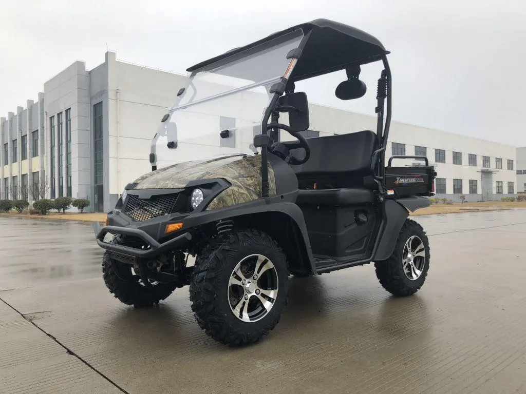 TrailMaster Taurus 200U UTV / Golf Cart / side-by-side Utility Hybrid with High/Low Gear