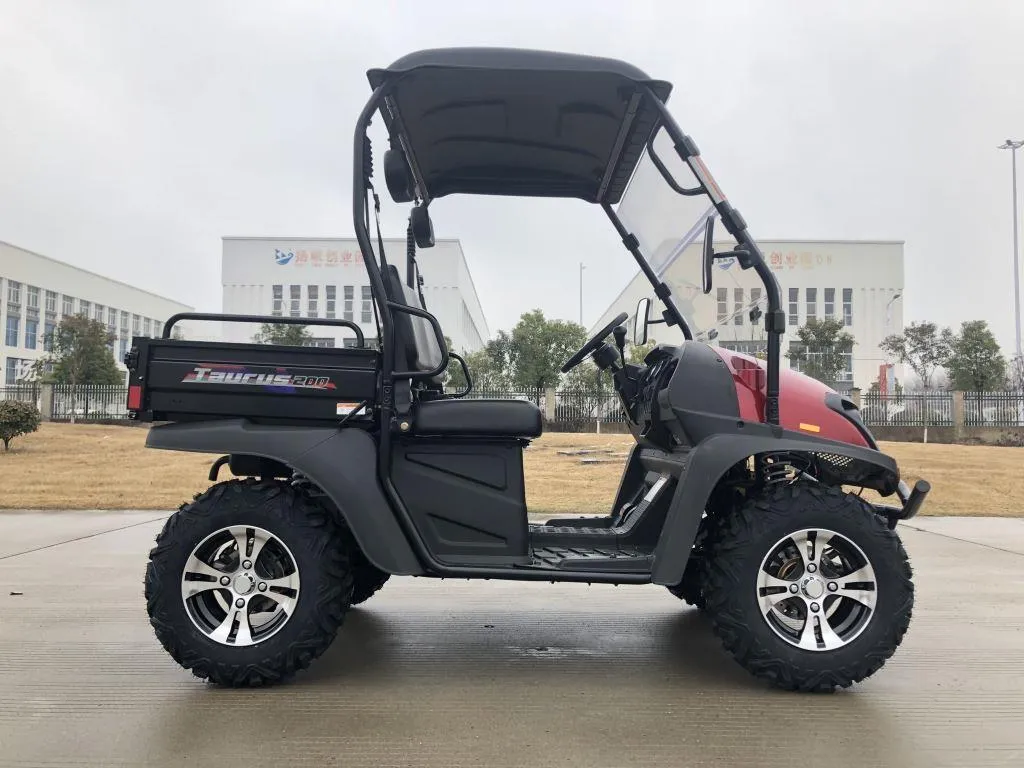 TrailMaster Taurus 200U UTV / Golf Cart / side-by-side Utility Hybrid with High/Low Gear