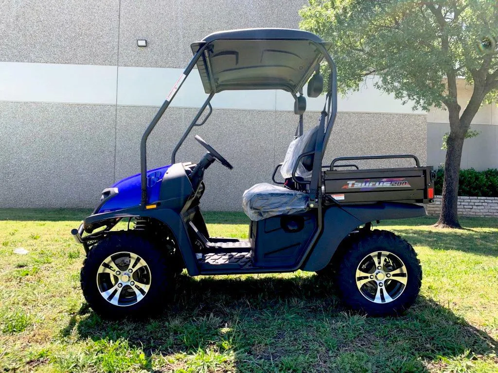 TrailMaster Taurus 200U UTV / Golf Cart / side-by-side Utility Hybrid with High/Low Gear