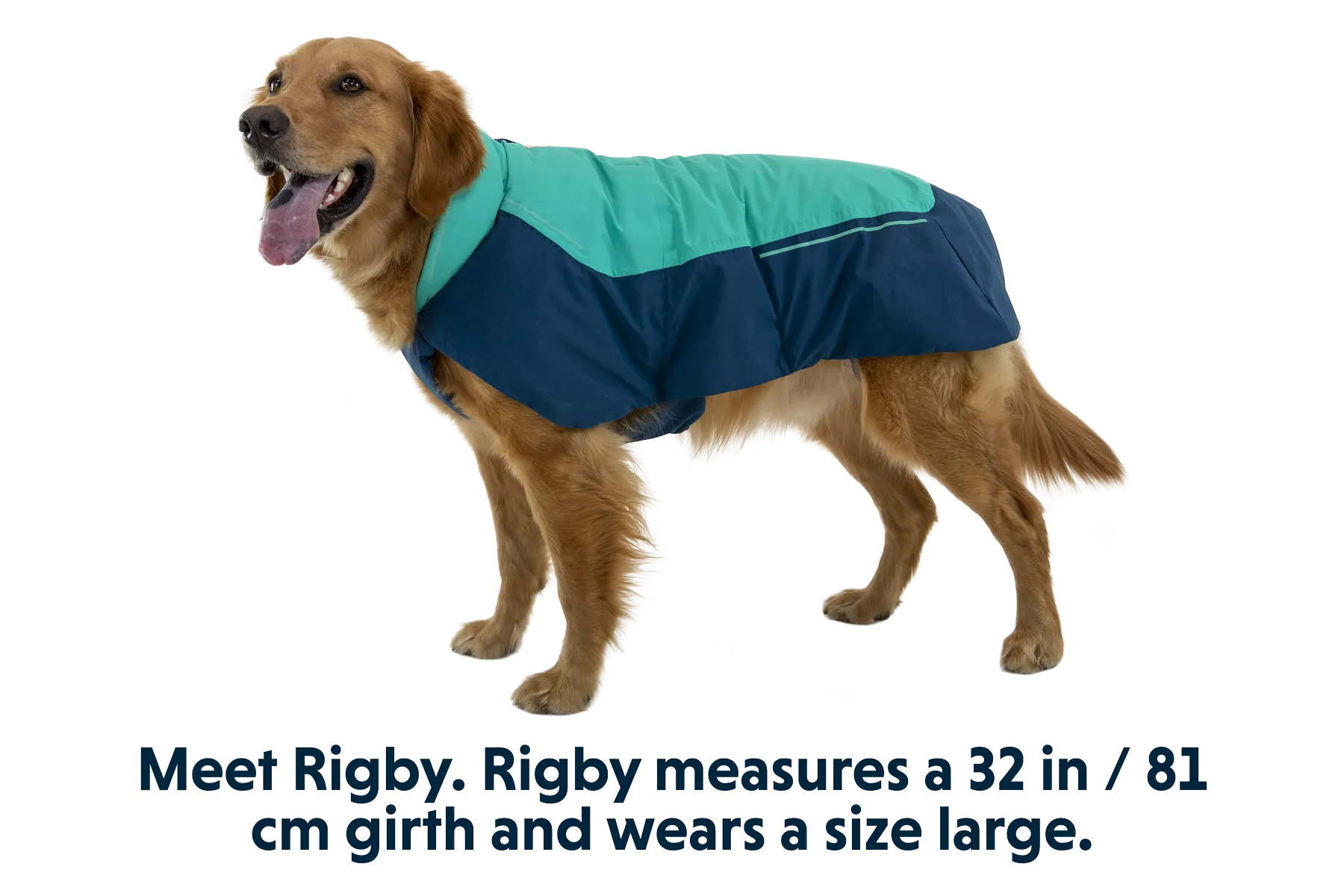 Vert™ Dog Jacket